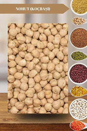 Organik Atalık Nohut (Koçbaşı) (9MM) - 1 Kilo