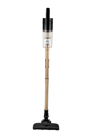 Awox Neto VC10 Hepa Filtre 1 Lt Toz Hazneli Dik Pratik Süpürge 500w Çelik Boru Gold