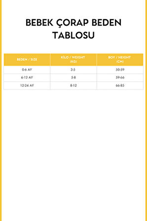 Kız Bebek Şeritli 5'li Soket Çorap