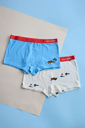 Erkek Çocuk 2'li Paket Safari Boxer 