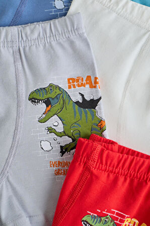 Erkek Çocuk 5 li  Paket Dinazor Baskılı Çok Renkli