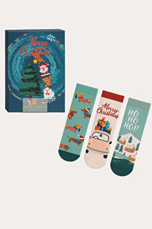 Çocuk 3'lü Yılbaşı Temalı Kutulu Soket Çorap