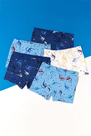 Erkek Çocuk 5'li Paket Dinazor Baskılı Boxer
