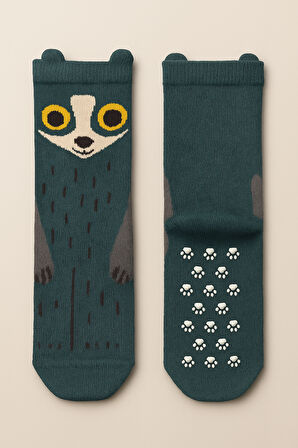 Erkek Çocuk Rakun Desenli Soket Çorap Yeşil