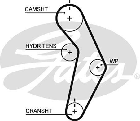 Chrysler Triger Kayısı (112x290) Chrysler Neon 2.0 16v 94 05 1.8 16v 97 99 Stratus Sebring Voyager 2.0 Ct1111 - Gates T245