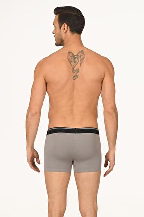 Gri Hendrix Modal Boxer