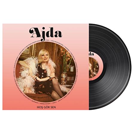 Ajda Pekkan-Hoşgörsen LP Plak