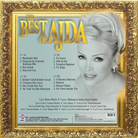 Ajda Pekkan - The Best Of Ajda  - Renkli Plak (2 P lak)