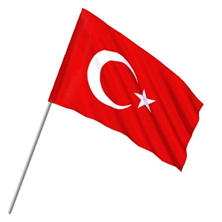 Gen-Of Sopalı Türk Bayrağı 20x30 cm Alpaka Kumaş 10 Adet