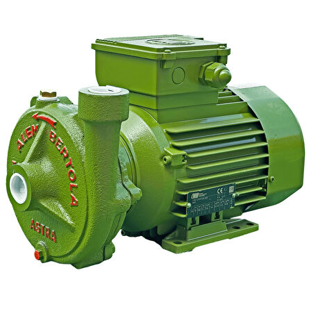 ALEM BERTOLA Astra Bahçe Su Pompası 1 Hp 220 Volt Monofaze