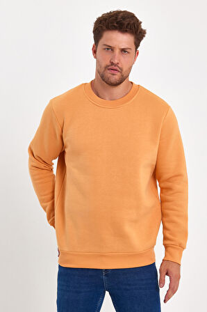 Rodi 3 İplik Şardonlu Bisiklet Yaka Sweatshirt RD24KE054903