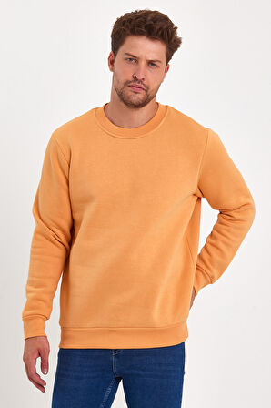 Rodi 3 İplik Şardonlu Bisiklet Yaka Sweatshirt RD24KE054903