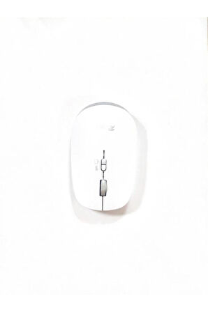 Kablosuz Mouse Rt-10102