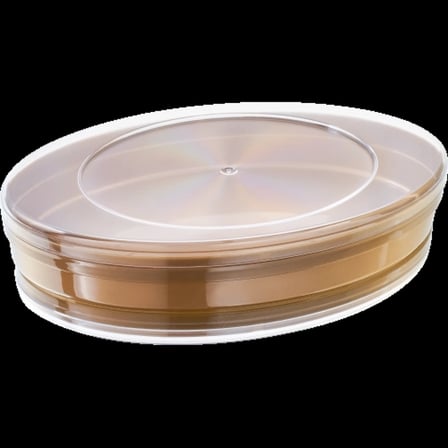 Melody Plastik Kapaklı Kutu 380 cc - (225 ADET)