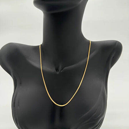 Çelik İnce İtalyan Zincir Unisex Gold Kolye - Gold