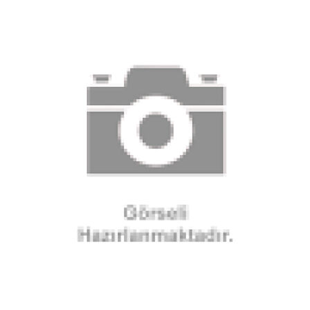 Bmw Eksantrık Zinciri Bmw M43 E34 E36 E46 - Febi 09364