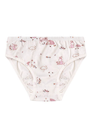 Özkan 41603 5'li Paket Kız Çocuk Karışık Renkli Desenli Pamuklu Yumuşak Slip Külot