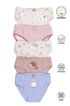 Özkan 41603 5'li Paket Kız Çocuk Karışık Renkli Desenli Pamuklu Yumuşak Slip Külot