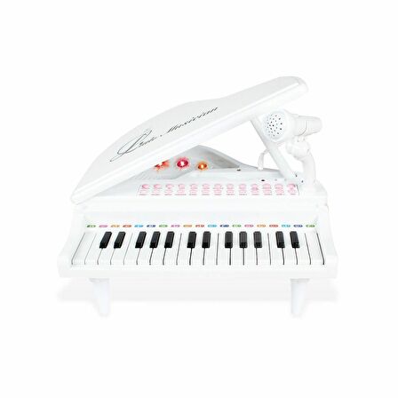 BAO-1504B 31 Tuşlu Mini Piano MP3 -Vardem