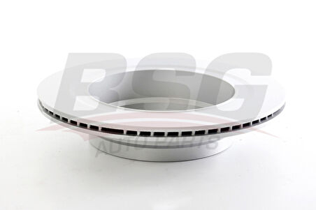Bmw Fren Diski Arka - Kaplamalı Adet - Bsg 15-210-042