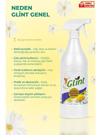GLİNT 1 Litre %100 Bitkisel Küf Fırın Izgara Temizleyici Yağ Sökücü Çok Amaçlı Yüzey Temizleyici