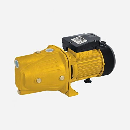 RTM8760 Su Pompası 750 W / 1.0 Hp 1 x 1'' 46 Mt