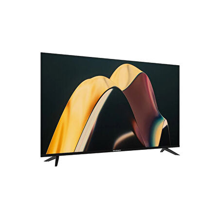 Skytech 55ST1305 4K Ultra HD 55" 140 Ekran Uydu Alıcılı Google Smart LED TV