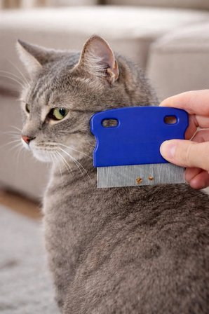 1 ADET Kedi Köpek Pire Tarağı Dış Parazit Temizleme Tarağı Bit Pire Ayıklayıcı Çelik Dişli Tarak