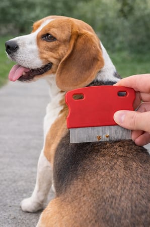 1 ADET Kedi Köpek Pire Tarağı Dış Parazit Temizleme Tarağı Bit Pire Ayıklayıcı Çelik Dişli Tarak