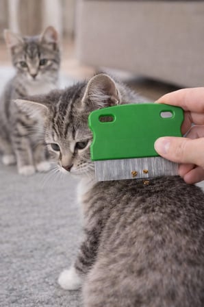 1 ADET Kedi Köpek Pire Tarağı Dış Parazit Temizleme Tarağı Bit Pire Ayıklayıcı Çelik Dişli Tarak