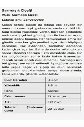 Sarmaşık Çiçeği Tohumu