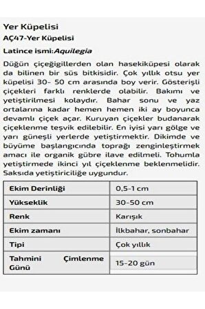 Yer Küpelisi Çiçeği Tohumu