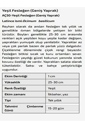 Yeşil Fesleğen (Geniş Yaprak) Çiçeği Tohumu