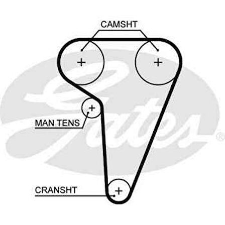 Alfa Romeo Triger Kayısı (127x254) Alfa Romeo 166 2.0t 12v (08 / 98 10 / 03) - Gates 5549xs