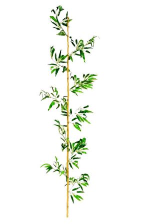 Yapay Bambu Sopası 10 Yapraklı 150 cm Yapay Çiçek Bambu Duvarı