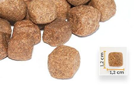 15 Kg Kennel Adult Dog Tavuklu Yetişkin Köpek Maması