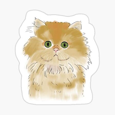 Cins Kedi İran Kedisi Araba Oto Sticker Etiket Renkli V7