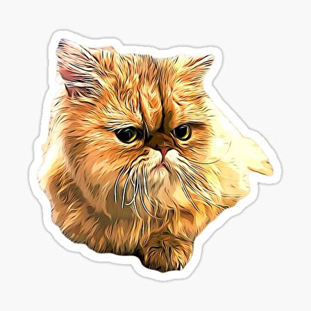 Cins Kedi İran Kedisi Araba Oto Sticker Etiket Renkli Z1