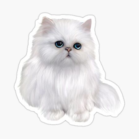 Cins Kedi İran Kedisi Araba Oto Sticker Etiket Renkli Z3