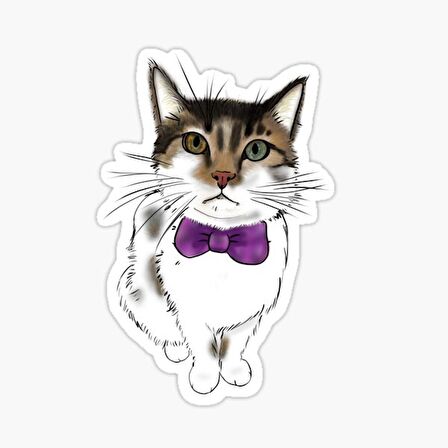 Oto UFak Bebek Kedi Araba Sticker Etiket Renkli V3