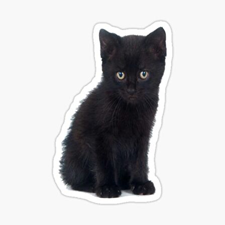 Oto UFak Bebek Kedi Araba Sticker Etiket Renkli V6