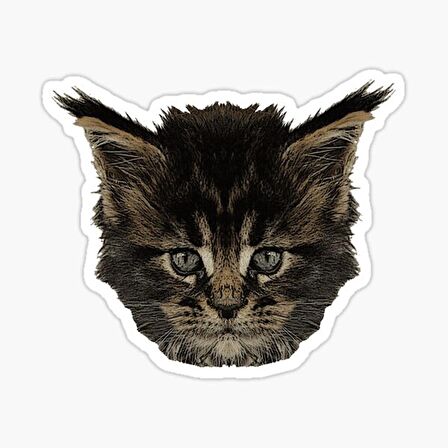 UFak Bebek Kedi Araba Oto Sticker Etiket Renkli A1