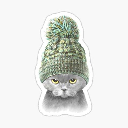 UFak Bebek Kedi Araba Oto Sticker Etiket Renkli A5