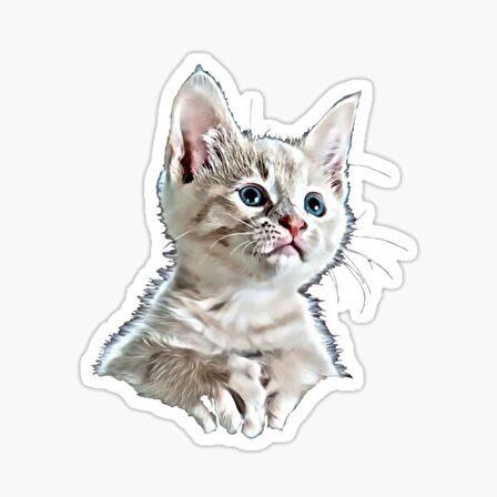 UFak Bebek Kedi Araba Oto Sticker Etiket Renkli E2