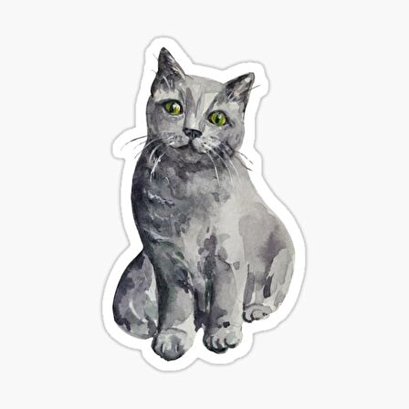 UFak Bebek Kedi Araba Oto Sticker Etiket Renkli E5