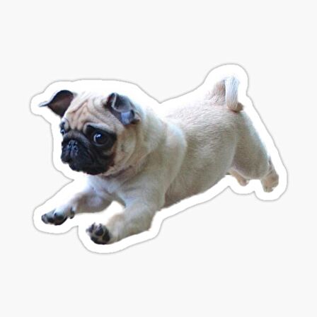 Pug Irkı Cinsi Köpek Sticker Araba Oto Yapıştırması 17CM A5