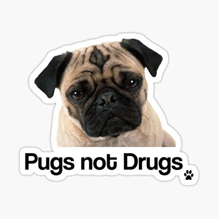 Pug Irkı Cinsi Köpek Sticker Araba Oto Yapıştırması 17CM B4