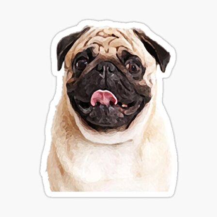 Pug Irkı Cinsi Köpek Sticker Araba Oto Yapıştırması 17CM F3