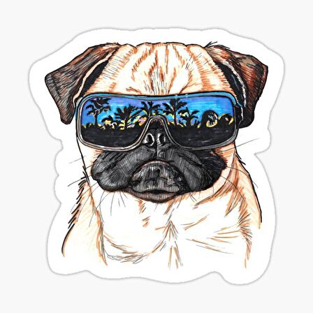 Pug Irkı Cinsi Köpek Sticker Araba Oto Yapıştırması 17CM N2