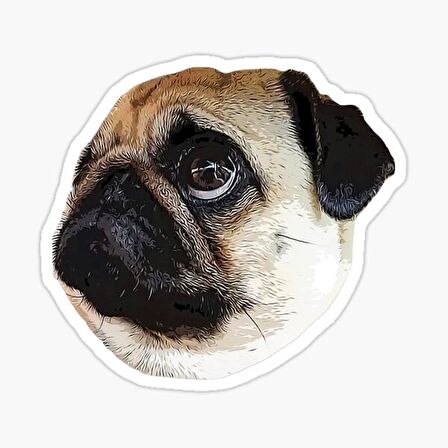 Pug Irkı Cinsi Köpek Sticker Araba Oto Yapıştırması 17CM Z3